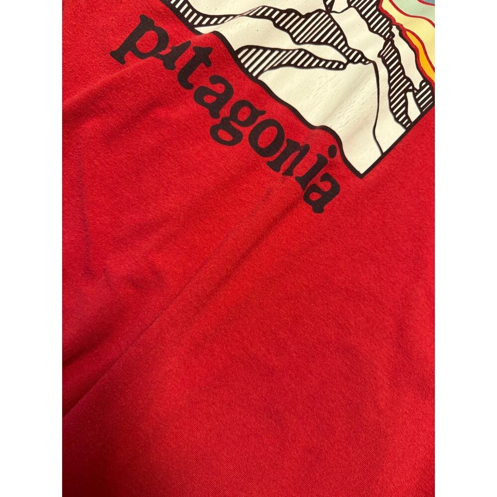 Patagonia Fitz Roy Horizons Responsibili-Tee Men’s Sz Large Regular Fit - Picture 6 of 7